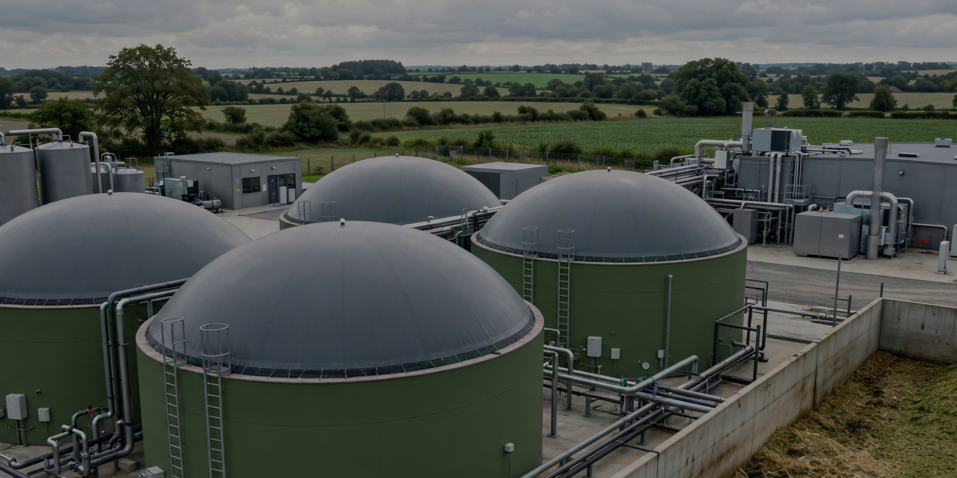 Bio-energy Ukraine for Dutch companies: what Ukraine’s experience in bioenergy has shown international partners