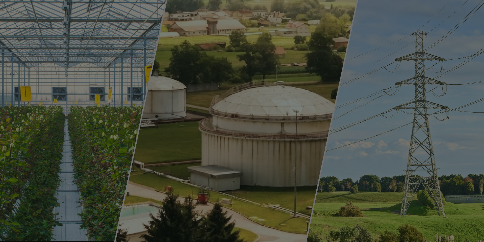 Компания «Pro-Energy» приняла участие в бизнес-семинаре «Децентрализованная биоэнергетика как возможность для бизнеса» в КПИ